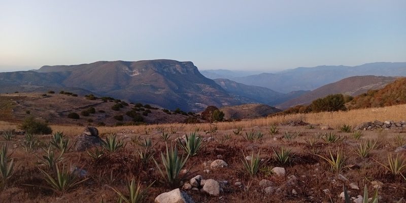 Santa María Apazco, Oaxaca — Centro