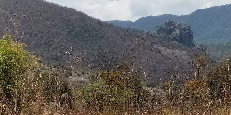 Santo Domingo Tlatayápam, Oaxaca — Panorama