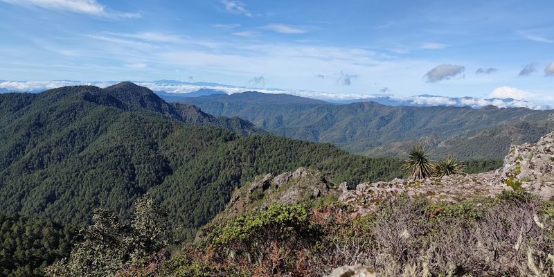 Santo Domingo Xagacía, Oaxaca — Skyline