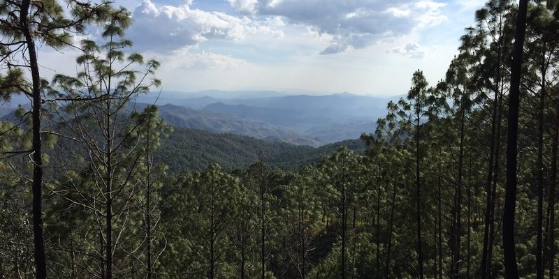Susupuato, Michoacán — Centro