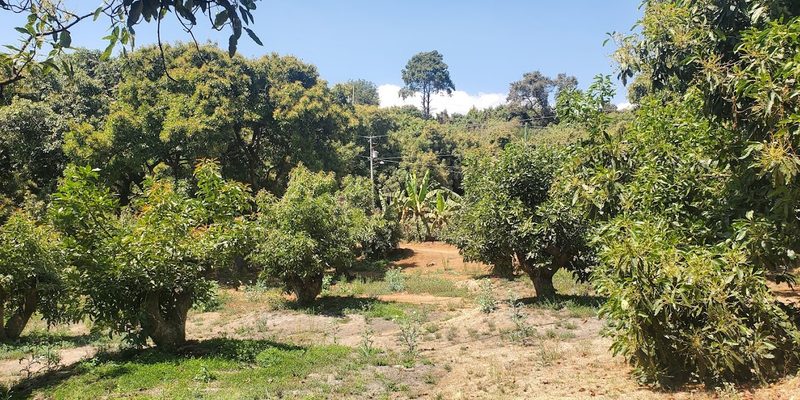 Tacámbaro, Michoacán — Centro