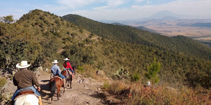Temascalcingo, Estado de México — Centro