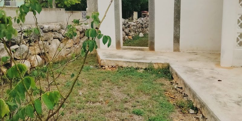 Timucuy, Yucatán — Panorama