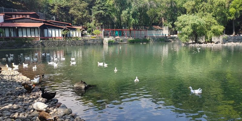 Tlalpan, Ciudad de México — Panorama