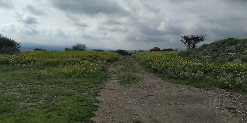 Tula, Tamaulipas — Centro