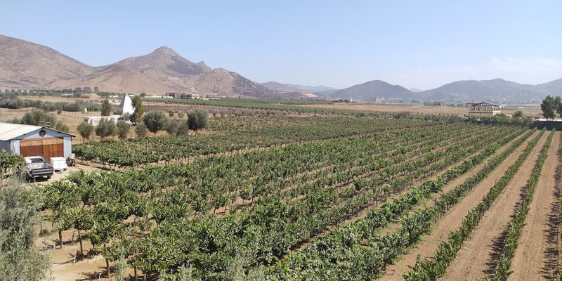 Valle de Guadalupe, Jalisco — Skyline
