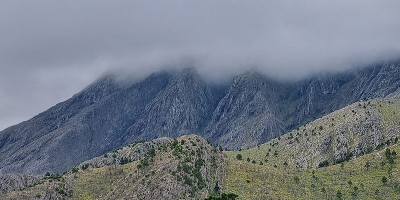 Viesca, Coahuila — Centro
