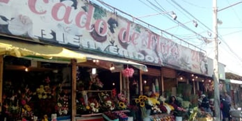 Xochimilco, Ciudad de México — Centro