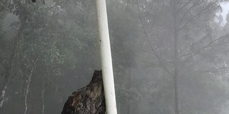 Xoxocotla, Veracruz — Centro