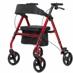 Andafacil Rollator 2 en 1 con Asiento Estilo Europeo