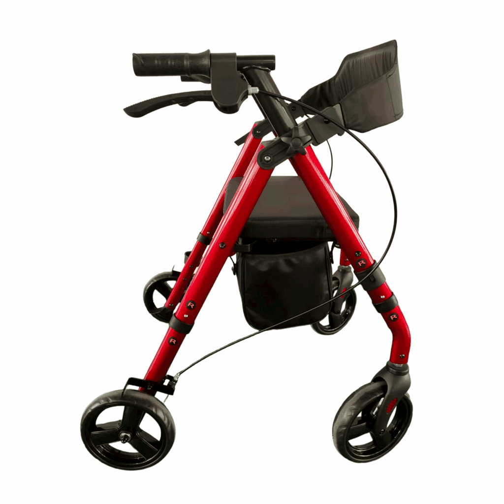 Andafacil Rollator 2 en 1 con Asiento Estilo Europeo