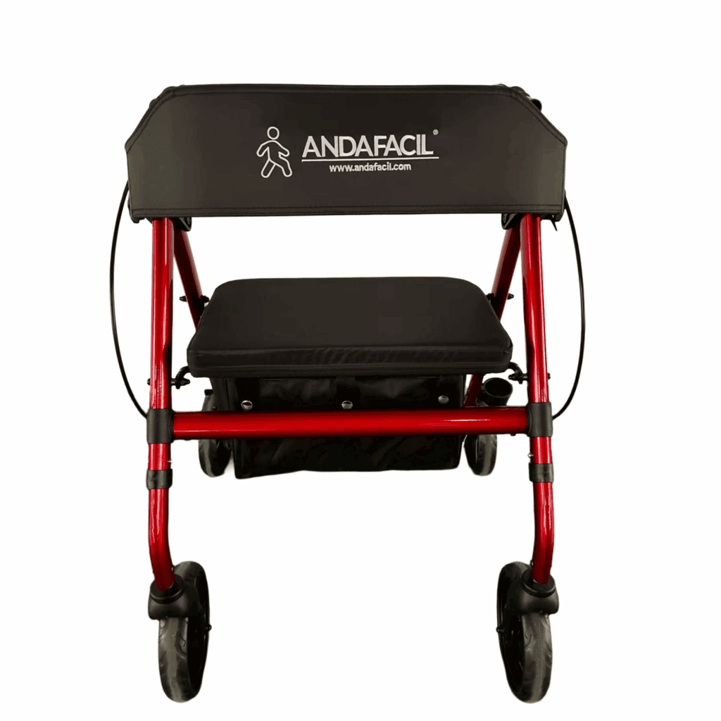 Andafacil Rollator 2 en 1 con Asiento Estilo Europeo