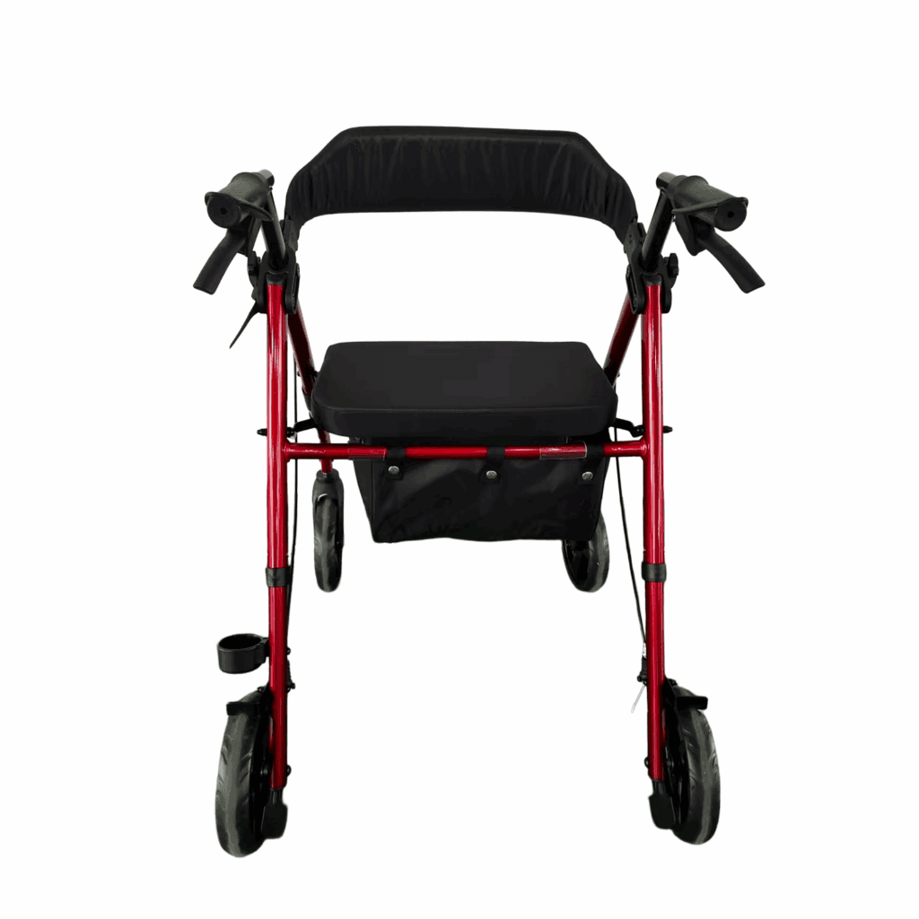 Andafacil Rollator 2 en 1 con Asiento Estilo Europeo