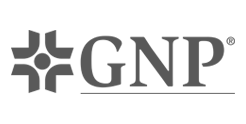 GNP Seguros